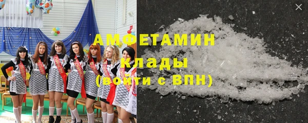 молекула духа Арсеньев