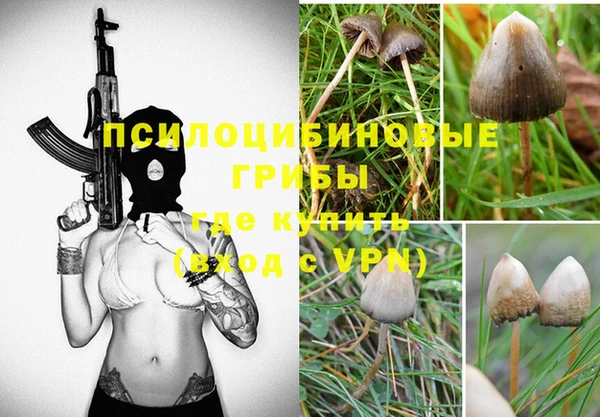 молекула духа Арсеньев
