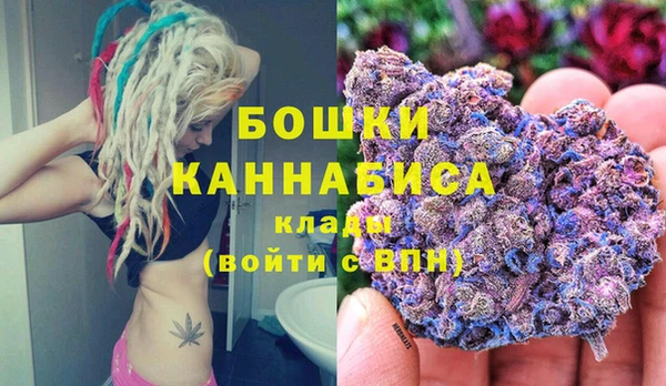 молекула духа Арсеньев
