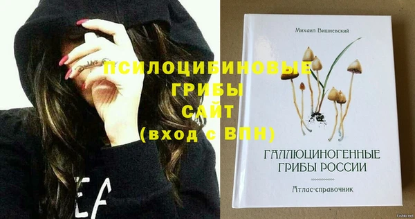 молекула духа Арсеньев