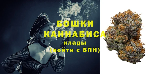 молекула духа Арсеньев