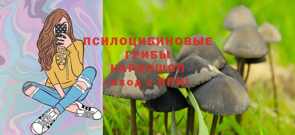 молекула духа Арсеньев