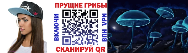 что такое   Асино  Галлюциногенные грибы GOLDEN TEACHER 