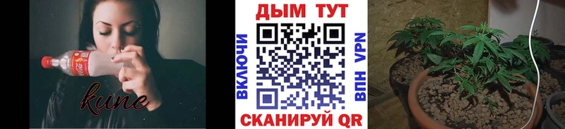 МАРИХУАНА Bruce Banner  закладки  Асино 